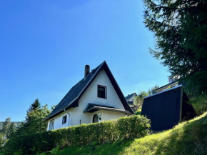 Urige Berghütte mit Kamin und Sauna im Erzgebirge nahe Schwarzwassertal